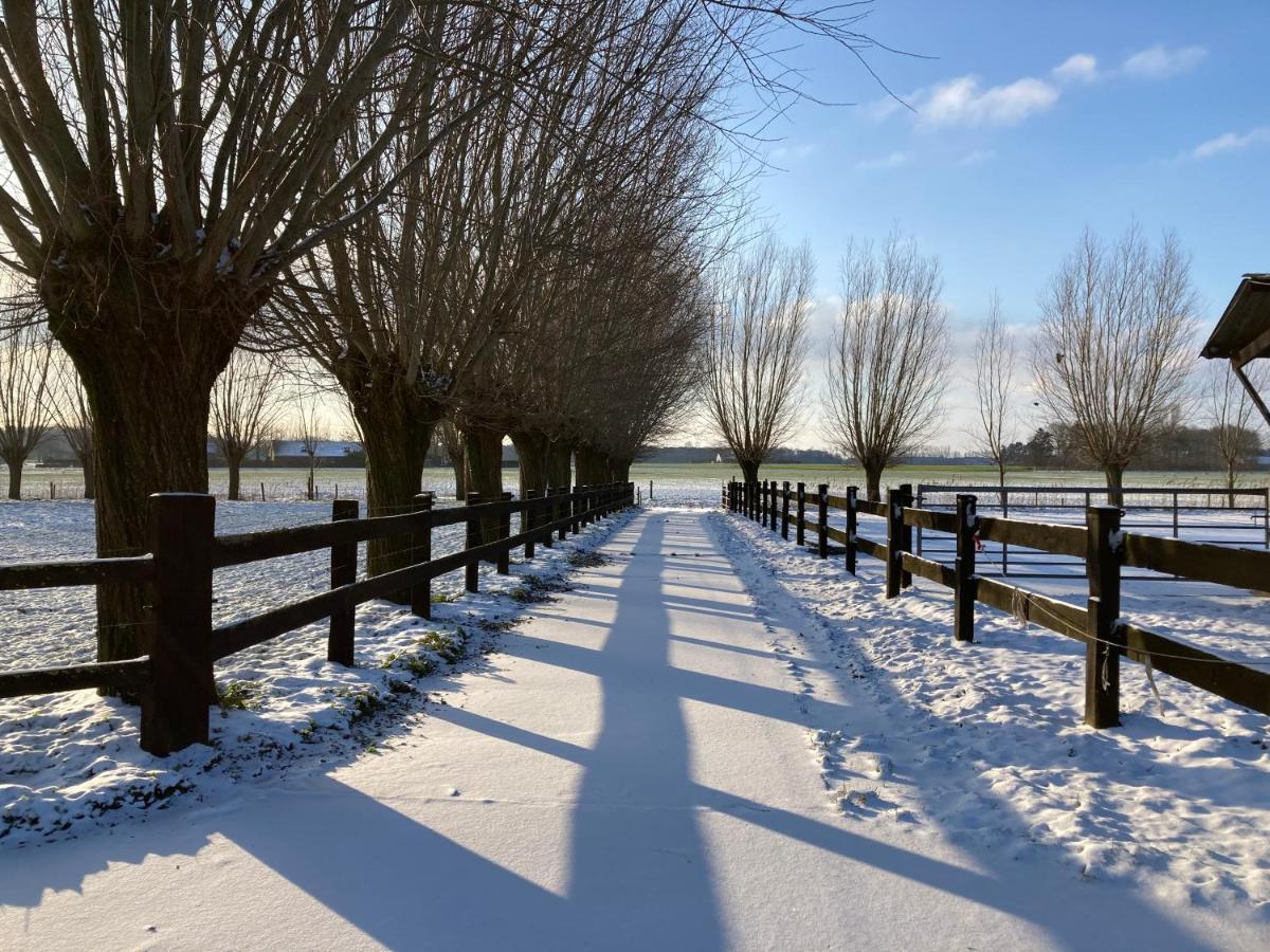 De Burkelhoeve Appc Maldegem Esterno foto